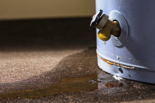 Best Professional water damage repair  in Draper, UT