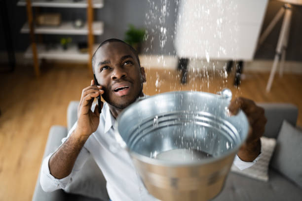 Best Water damage contractors near me  in Draper, UT