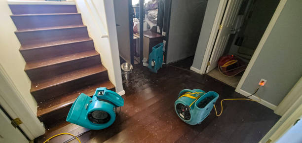 Best Flooded house restoration  in Draper, UT