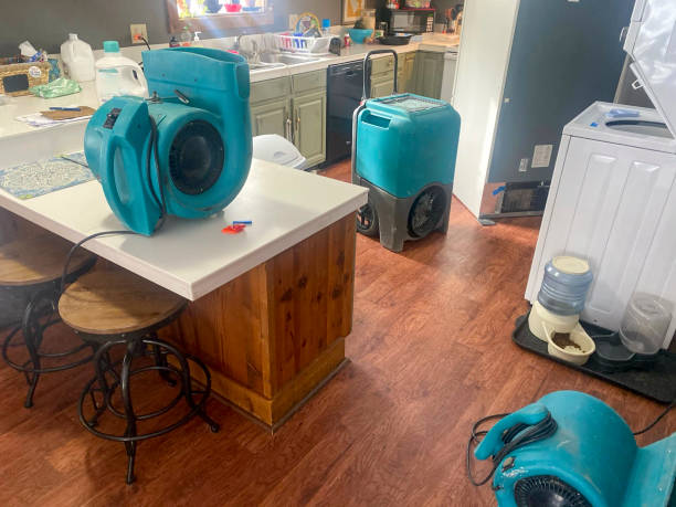 Best 24/7 water damage repair  in Draper, UT