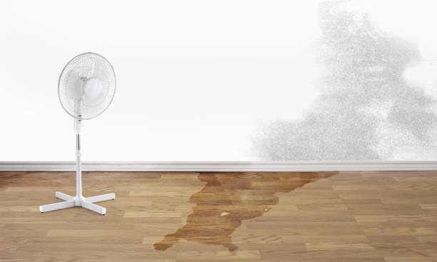 Best Emergency water damage restoration  in Draper, UT