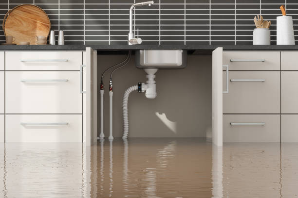 Best Ceiling water damage repair  in Draper, UT