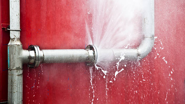 Best Flood damage cleanup  in Draper, UT